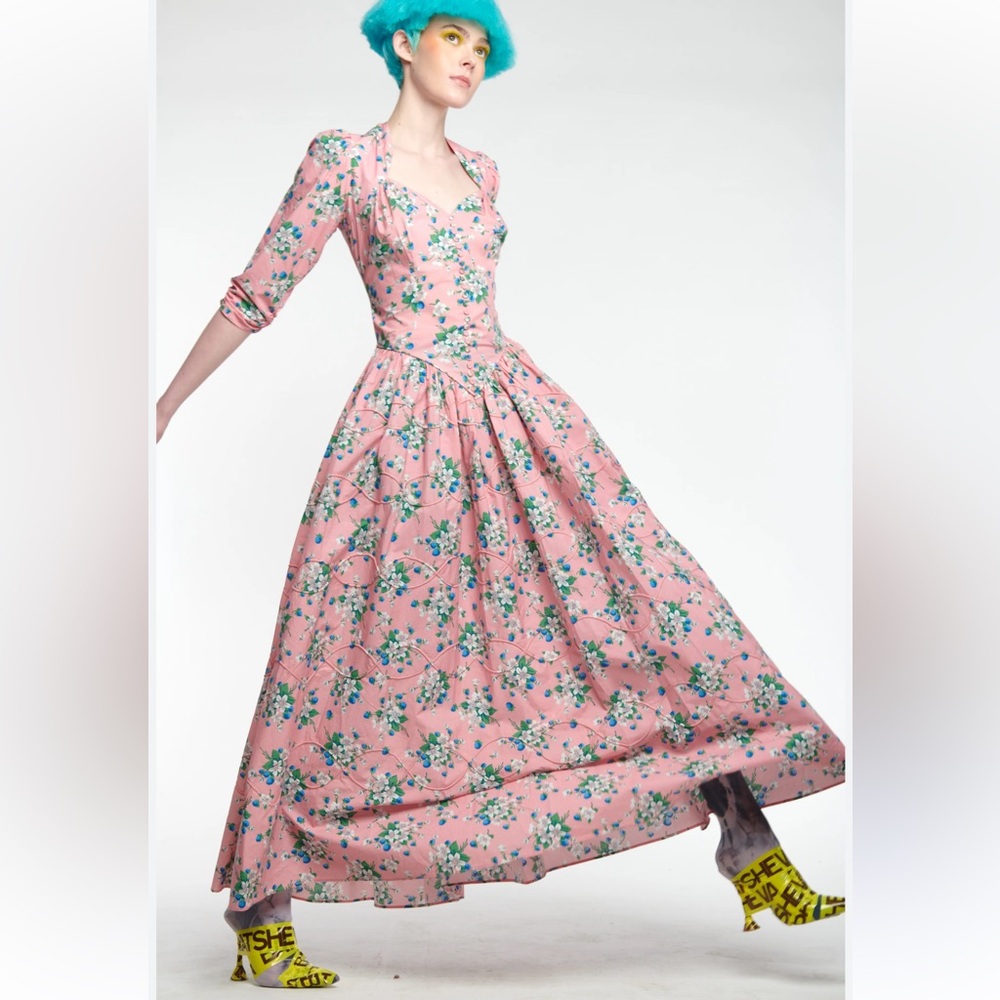 ⭐️NWT Batsheva Pink Lily Lane Dress⭐️